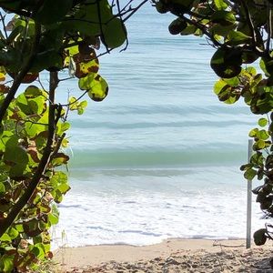 Meet your Posher, Michele